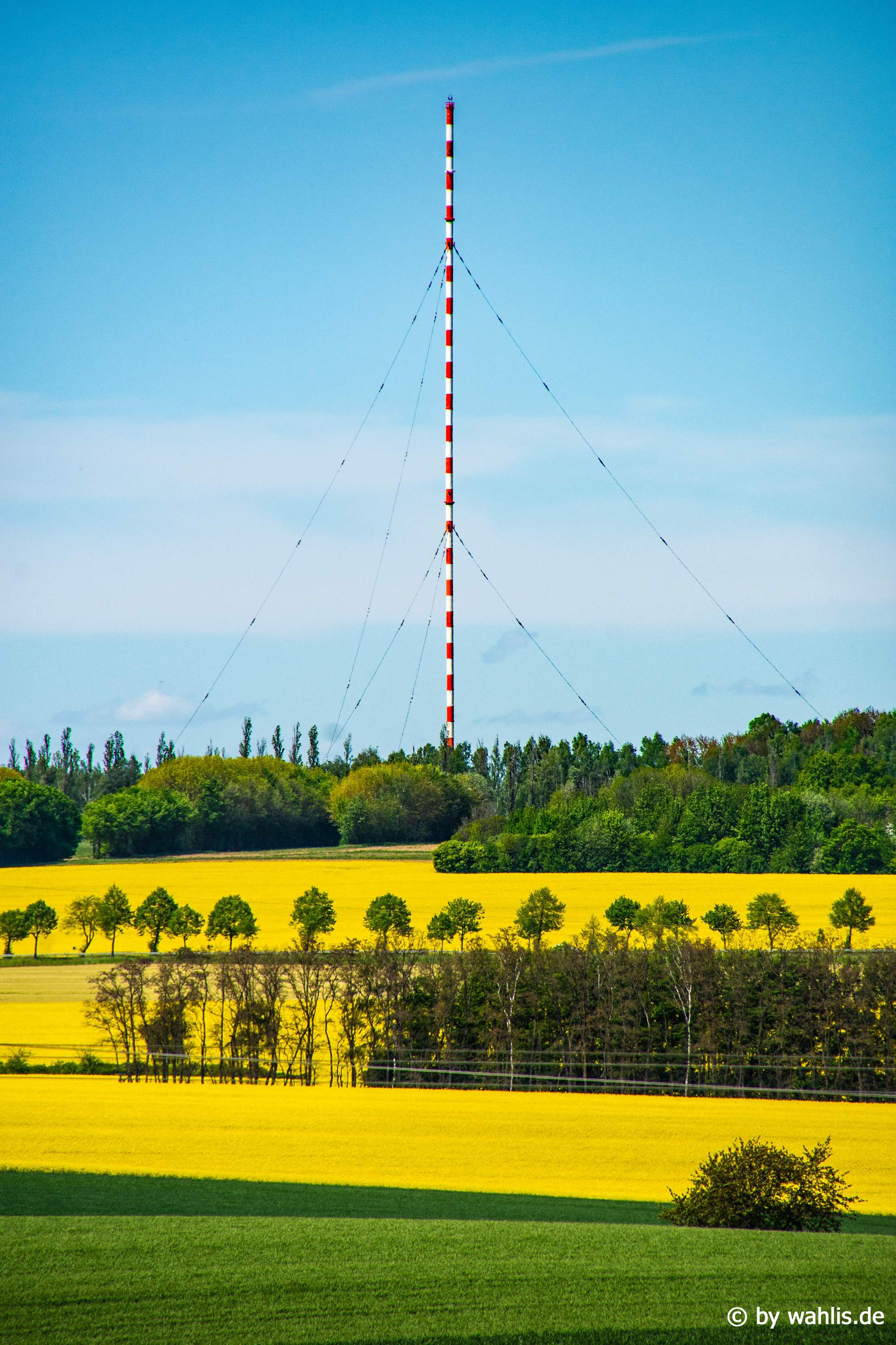 Funkturm Wilsdruff, Steffen Wahl